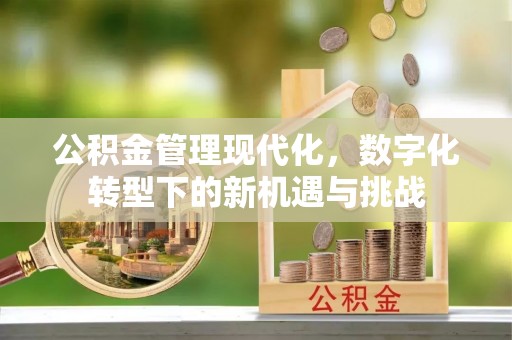 扎囊公积金管理现代化，数字化转型下的新机遇与挑战