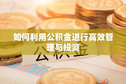 扎囊如何利用公积金进行高效管理与投资