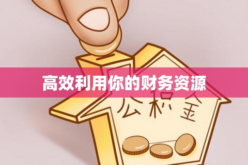 扎囊高效利用你的财务资源