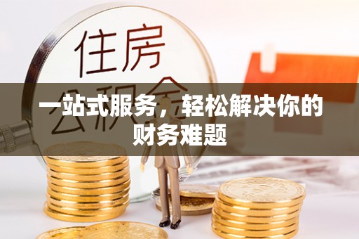 扎囊一站式服务，轻松解决你的财务难题