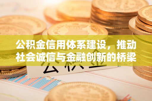 扎囊公积金信用体系建设，推动社会诚信与金融创新的桥梁