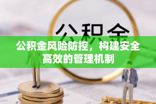 扎囊公积金风险防控，构建安全高效的管理机制