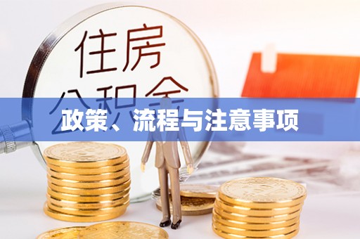 扎囊政策、流程与注意事项