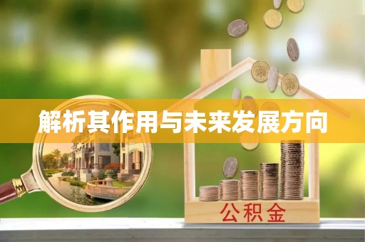 扎囊解析其作用与未来发展方向