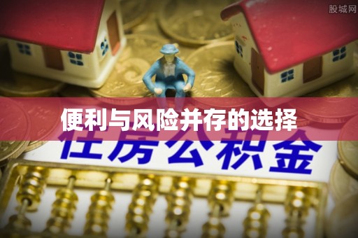 扎囊便利与风险并存的选择