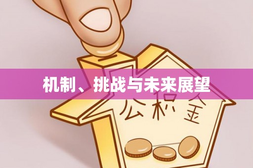 扎囊机制、挑战与未来展望