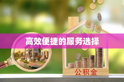 扎囊高效便捷的服务选择