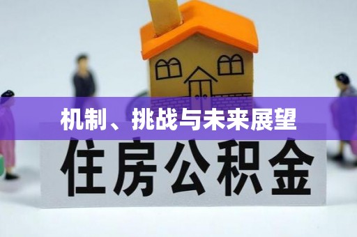 扎囊机制、挑战与未来展望